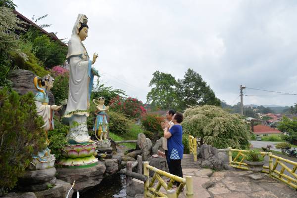 彭亨州劳勿的法华山观音堂的观音非常灵验,许多善信都到此向观音求子、求姻缘、求健康。 观音堂 Jalan Bukit Koman, 27600 Raub, Pahang. 卫星导航:3.815459,101.851561