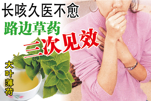 卖相不起眼的家常草药——大叶薄荷,竟是治愈Carol咳嗽怪病的救命药。