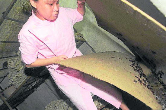 袁美霞在一间闲置多年的老宅建造“小强基地”,把养蟑螂当作她的副业,用清水浸死后晒干,卖给安徽 某家药厂。