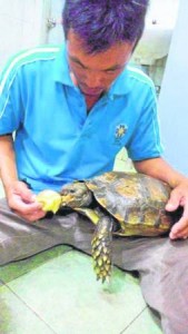 他最喜欢将小龟放在大腿上喂食。