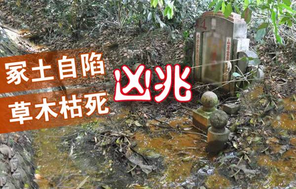 吴佰霖道长表示,若发现祖坟冢土自陷、草木枯死,即表示已犯了大凶之兆,宜尽早请阴宅风水师傅勘察。
