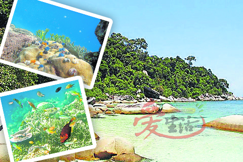 抵达Pulau Besar后,爱浮潜的旅客可观看奇异珊湖与的彩缤纷的热带鱼。