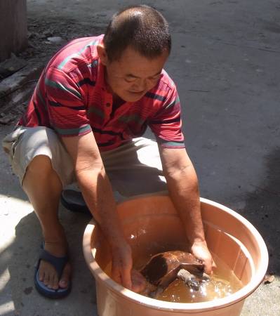 灵龟是云龙庙之宝,庙住持陈应丁每天按时替它洗日光浴,还会按时做运动,确保其身体健康。