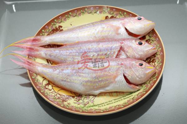 红衫鱼肉质细密、味道鲜美、形态优雅,因此最适合用来做“一夜情”。