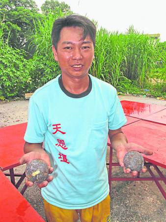 天恩坛坛主李德贵:神灵保佑,不会受伤! 我已有3次抱“红柑”的经验,有神灵在暗中扶助,都没有发生过被烫伤的事件,因为我相信心诚则灵,神灵是不会让衪们的乩童受到伤害的。
