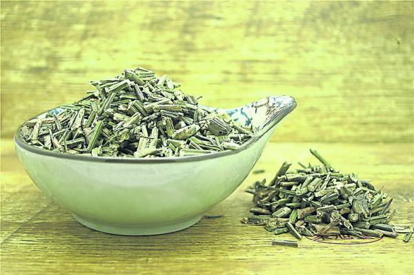 可当作桌上肴,又可晒干磨成粉的穿心莲,虽然味苦,但具有清热解毒、凉血消肿的功效。