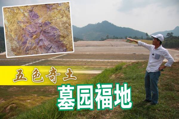 陈董表示,这片土地不但有五色奇土,还有罕见的紫色“护龙土”(小图),因此他每次来到这里,总觉得精神饱满。