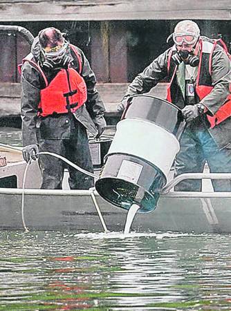 美国工兵在伊利诺伊河投放毒药,但不仅没有杀死鲤鱼,反令当地鱼类大量死亡。