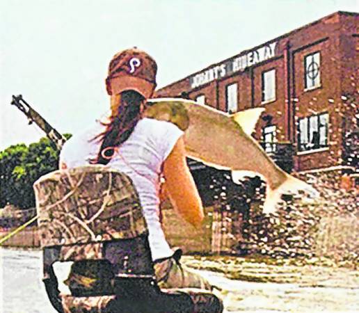 鲤鱼弹跳力强,跳至空中击伤游客的事经常发生。