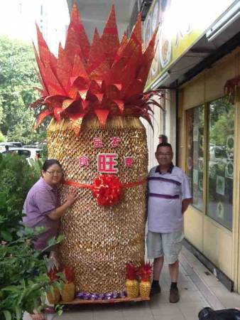 巨金凤梨比比常人还要高一倍!