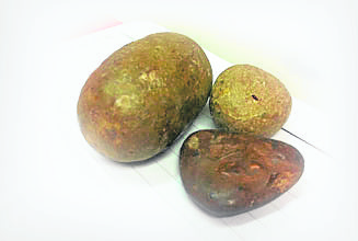 粉枣
