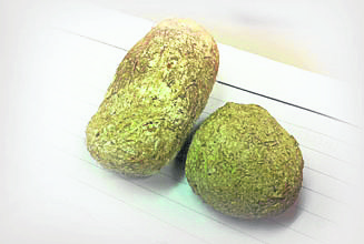 草枣