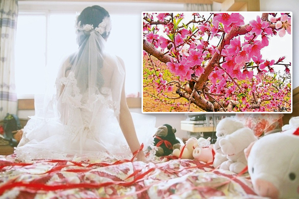妙婵师太运用了“爱情魅力法”和“富贵正花”法,女性嫁入豪门可期。