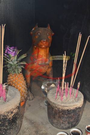 大家可别以为这是二郎神的哮天犬,祂是罕见的白狗爷,亦是大圣宫忠心耿耿的守护神。