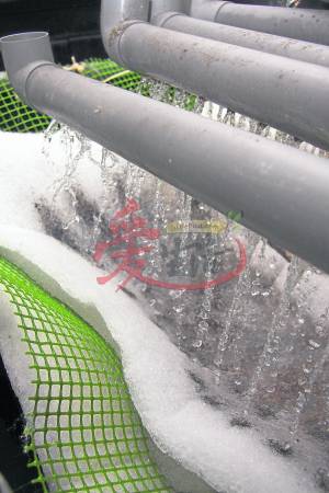 涓涓流水,通过过滤棉隔离水中浊物,确保水源保持。