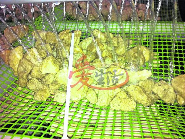 石头的作用,主要是让清水增添矿物质,营造山泉水的素质。