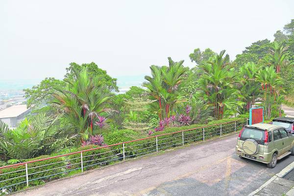 慈航千百家协会依山而建,风景秀丽、空气凉爽。