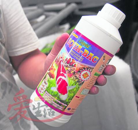 Jackson表示,添加特定的良菌,可进一步把山泉水变成最适合饲养鱼儿的“肥水”。
