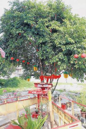 马六甲:三保井