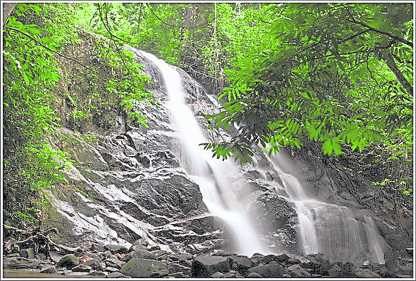 只要在瀑布下方站着,就能享受天然按摩浴了。 康情瀑布(The Kanching Waterfall) Kanching Waterfall, Templer Park, 48000 Rawang, Selangor 开放时间:7am - 5.30pm GPS导航:3.299441, 101.619500