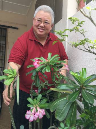 要种一棵能催旺自己运势的富贵花,何师父建议可以依据一家之主的生肖及行业,并再选择适宜的方位种植,能催旺个人运势,阻挡煞气!