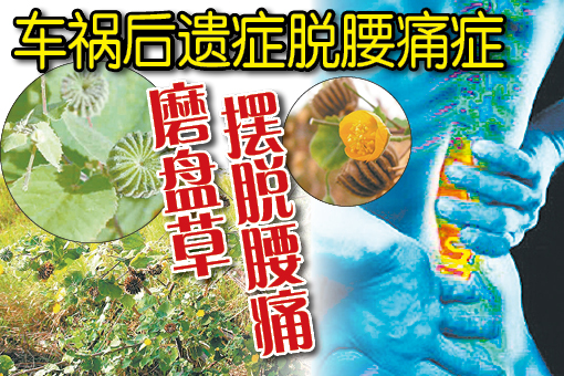 磨盘草(又名:四米草、帽仔盾草、帽仔盾、剪磨盾片)——功效:疏风清热、益气通窍、祛痰利尿。用于感冒、久热不退、流行性腮腺炎、耳鸣、耳聋、肺结核、小便不利。