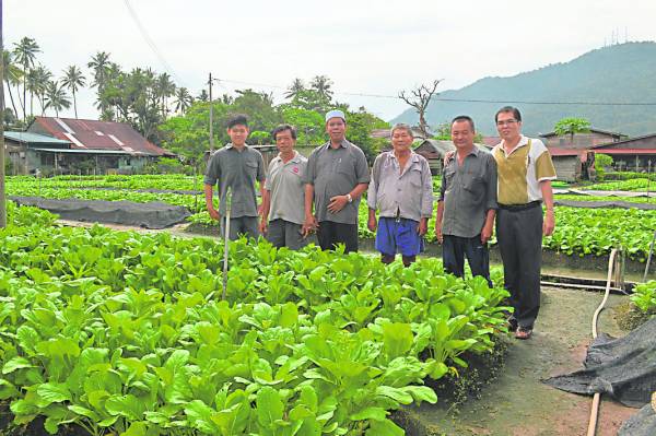 鱼池菜园农民热情淳朴,不分种族和谐共处;左起为黄永年及黄良盛。