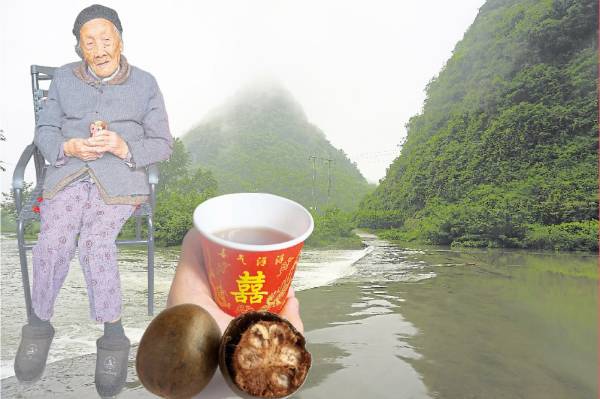 在中国有一个地方,全村无一人罹患癌症,而且百岁人瑞比比皆是。本报记者前往中国探索长寿秘诀,发现当地的泉水,还有一种“神果”,就是他们延寿的秘方。