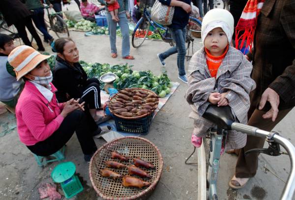 随街售卖:越南胡志明市路边的烤鼠肉,你敢试一口吗?
