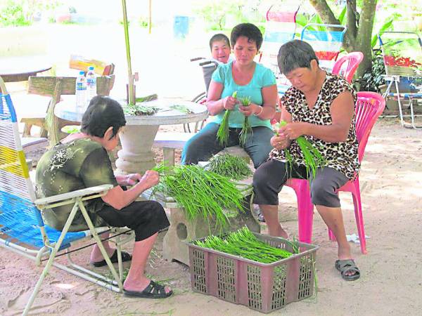 孤老们经常自动自发帮忙一起打理家务,一起准备食材。