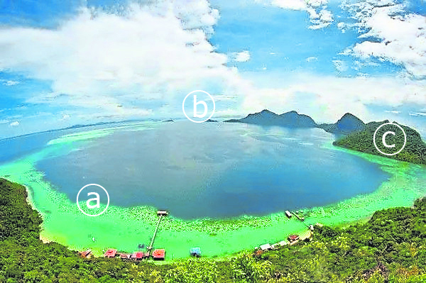 a-巨蛤花园 b-Lungisan Island c-小美人鱼岛