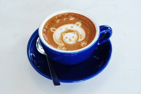 ◆Mocha