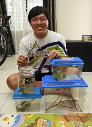 热爱大自然的国成,是个超级“虫虫保姆”,他对于毛毛虫的“痴迷”程度,连太太也忍不住吃醋。