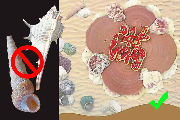 许师父表示,刺螺和锥螺摆在家不但会招惹小人,更会聚阴,而扇贝类的贝壳则是聚财、守财的象征。