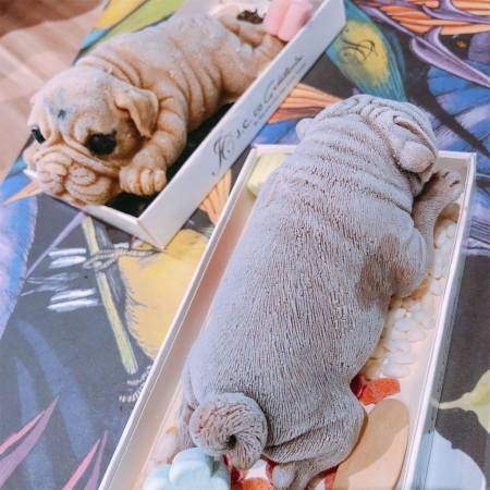 来源:IG@a_____ton