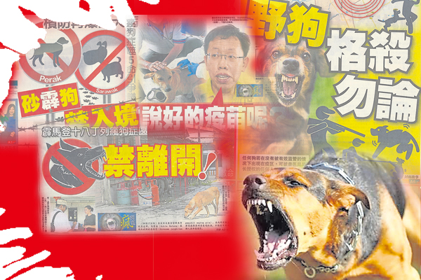 因为狂犬病造成的死亡威胁逐渐扩大,政府选择采取了极端的手段,以猎杀流浪狗的方式来遏制狂犬病的蔓延…