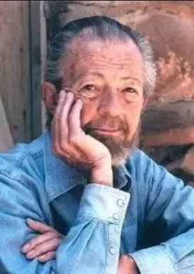 美国的戴维·霍金斯博士
