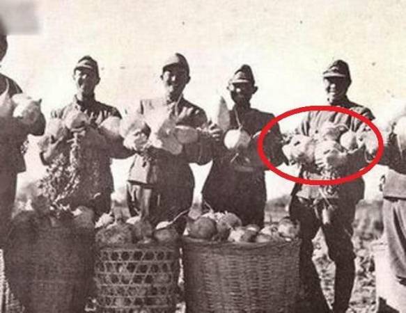 戰斗開始後，日本部隊就讓士兵搶奪中國老百姓的所有食物，以此途徑來補充部隊糧食的不足。