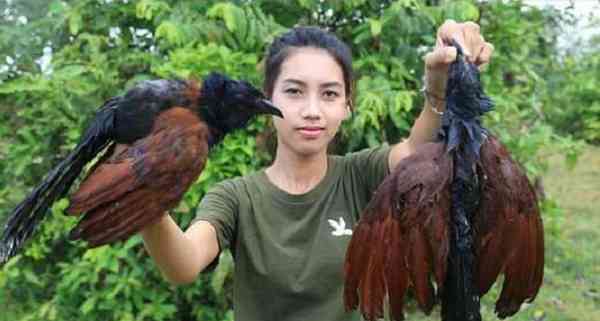 各種野生動物，都成了她的盤中餐，結果引來環境局關注。