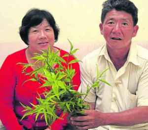 淋巴癌患刘联辉食用忧遁草后奇迹康复,现在两夫妻对忧遁草视如珍宝。