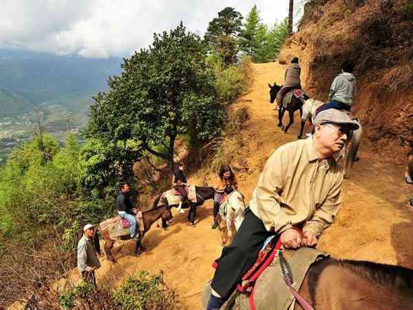 上山的土路。