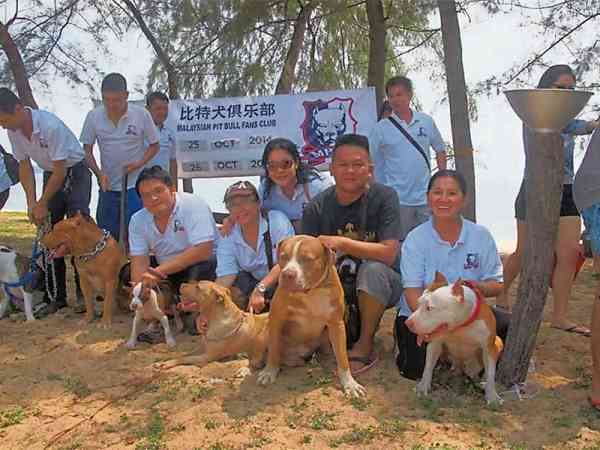 比特犬俱乐部积极于办宠物聚会和旅行团,就吸引了不少会员携狗参与。