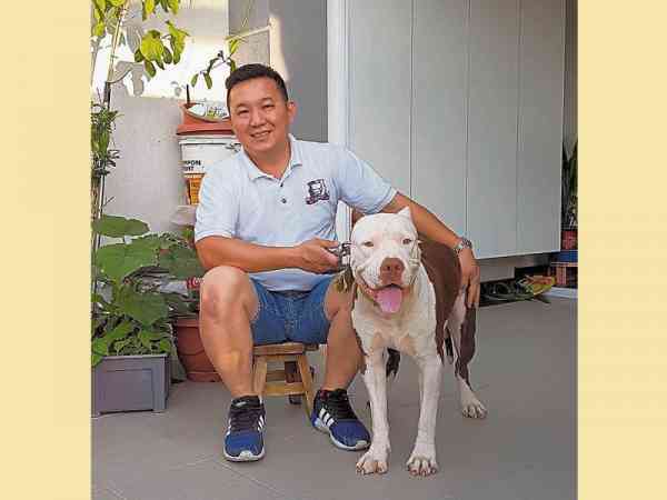 李松鑫对比特犬情有独钟,并于2013年创立了比特犬俱乐部。