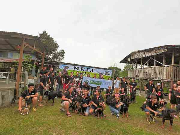 罗威纳犬俱乐部MRFC去年尾举办的原住民度假村之旅,成功吸引45位人和30余只罗威纳犬参加,场面十分壮观。