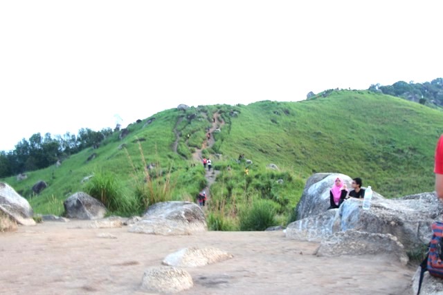 靠近峰顶,山路陡峭,可见大片茅草如麦浪。