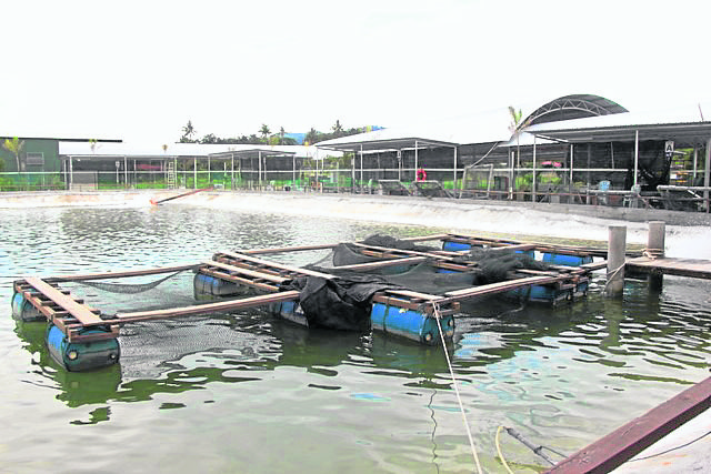 南马首家引进海水钓鱼场，在池里亦有奎龙设备，务求具有海水垂钓感觉。
