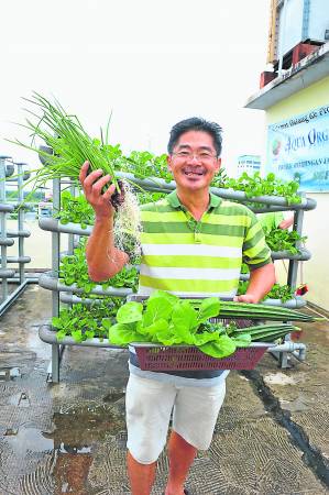 加洲酒店业者周昌狮将顶楼改造为空中菜园,想吃新鲜蔬菜时,上楼采摘即可,省钱环保又健康。
