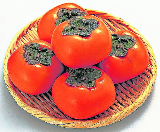 黄澄澄的柿子，是很多人爱吃的水果。