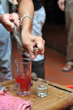 红色的乃是鲜蛇血酒，而青色玻璃瓶蛇胆酒，这都是越南人强身健体的补救。