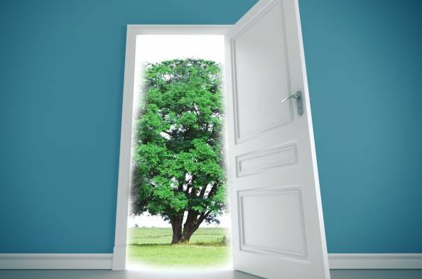 树木易聚阴，如果一开门就见大树，事业也难有出头天。